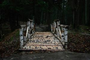Windows 11 4K Old Wooden Bridge windows 11 4k wallpaper