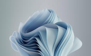 Windows 11 Light Blue Bloom windows 11 wallpaper
