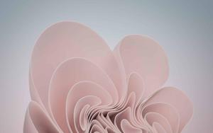 Windows 11 Pink Aesthetic Bloom windows 11 wallpaper