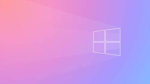 Windows 11 Pink windows 11 wallpaper