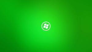 Windows 11 Plain Green windows 11 wallpaper