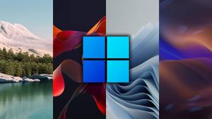 Windows 11 Plank Background windows 11 wallpaper