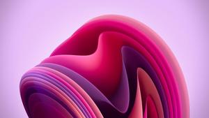 Windows 11 Purple Bloom windows 11 wallpaper