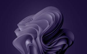Windows 11 Purple Bloom windows 11 wallpaper