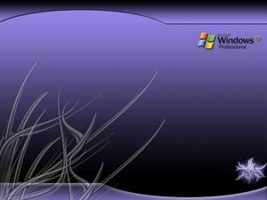 Windows XP at its best windows xp wallpaper