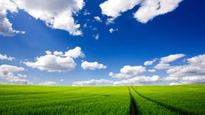 Windows XP: Bringing Back the Nostalgia windows xp wallpaper