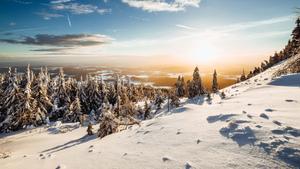 Winter Background winter wallpaper