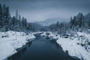 Winter Background winter wallpaper
