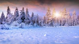 Winter Background winter wallpaper
