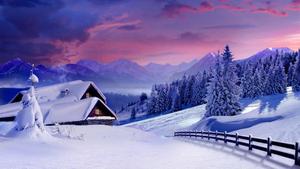 Winter Background winter wallpaper