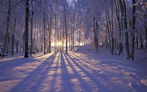 Winter Background winter wallpaper