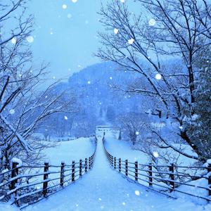 Winter Background Wallpaper