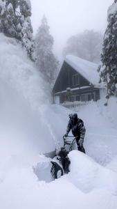 Winter Blizzard Picture winter wallpaper
