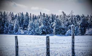 Winter Fence Landscape winter wallpaper