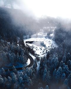 Winter Forest And Lake winter wallpaper