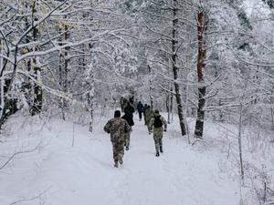 Winter Forest Hike Picture winter wallpaper