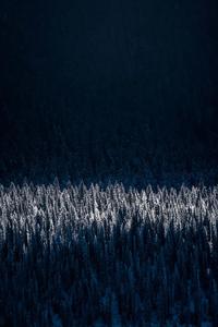 Winter Iphone Background winter iphone wallpaper
