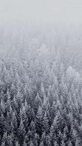 Winter Iphone Background winter iphone wallpaper