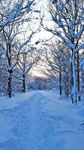 Winter Iphone Background winter iphone wallpaper
