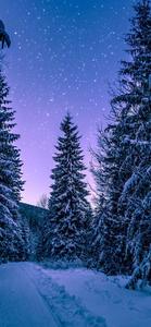 Winter Iphone Background winter iphone wallpaper