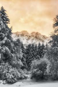 Winter Iphone Background winter iphone wallpaper
