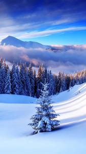 Winter Iphone Background winter iphone wallpaper