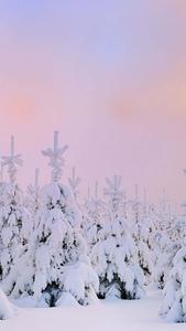 Winter Iphone Background winter iphone wallpaper