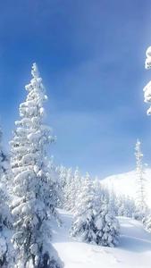 Winter Iphone Background winter iphone wallpaper