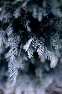 Winter Iphone Background winter iphone wallpaper