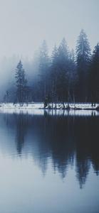 Winter iPhone Misty Lake winter iphone wallpaper