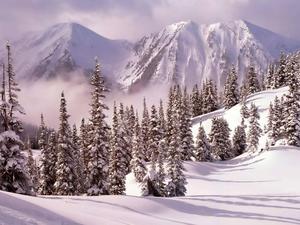 Winter Landscape Photography winter wallpaper