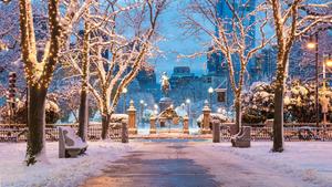 Winter Park Picture winter wallpaper