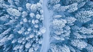 Winter pictures winter wallpaper