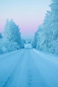Winter pictures winter wallpaper
