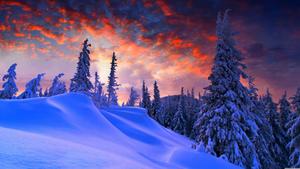 Winter Sunset Scenic 8k wallpaper