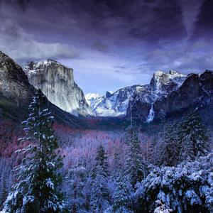 Winter Trees And Mountains winter wallpaper