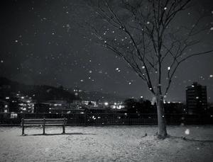 Winter Wonderland iPhone Wallpaper winter iphone wallpaper