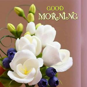 Wishing You a Bright and Beautiful Good Morning! good morning wallpaper