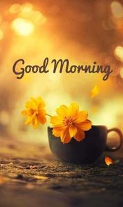 Wishing you a Good Morning with a beautiful view good morning wallpaper