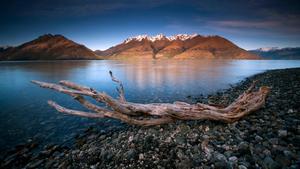 Wooden Log Full Desktop Screen Hd full screen hd desktop wallpaper