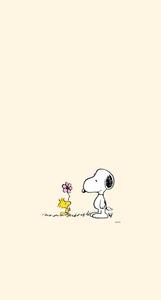 Woodstock Showing his Love for Snoopy snoopy wallpaper
