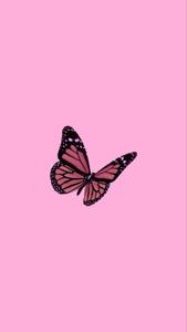 Y2k Aesthetic Pink Monarch Butterfly y2k aesthetic wallpaper