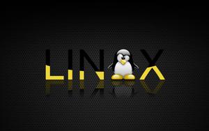 Yellow Black Linux Penguin Logo linux wallpaper