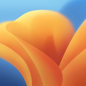 Yellow Flower Ios 16 ios 16 wallpaper