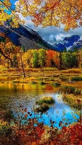 Yellow Trees And Mountain Fall IPhone fall iphone wallpaper