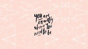 "You are exactly where you need to be - Embrace the journey"