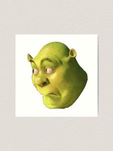 You never know what Shrek will get up to! funny shrek wallpaper