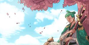 Zoro Wields his Sword in Battle zoro wallpaper