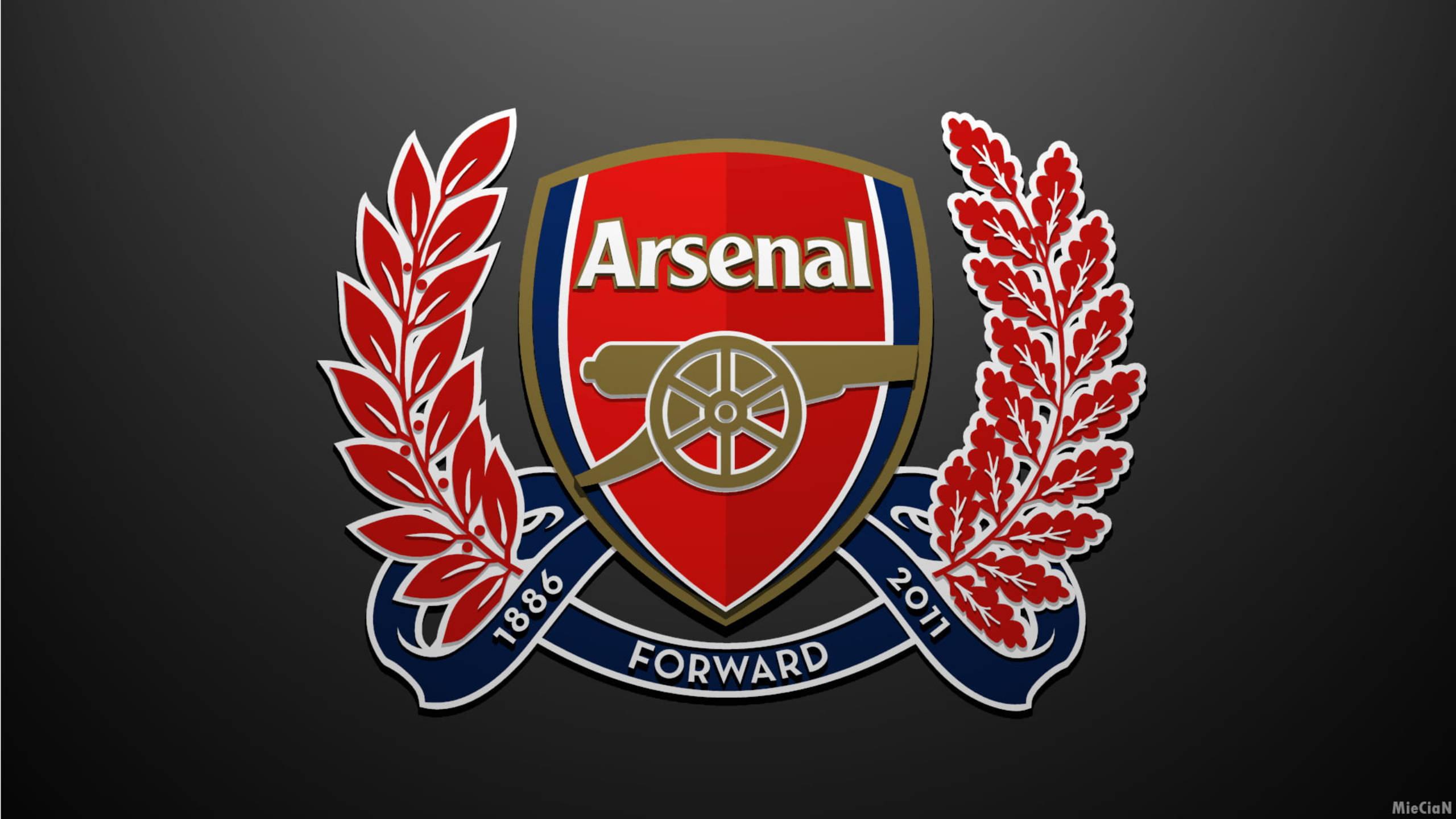 1886-2011 Arsenal Emblem — 2560x1440 wallpaper