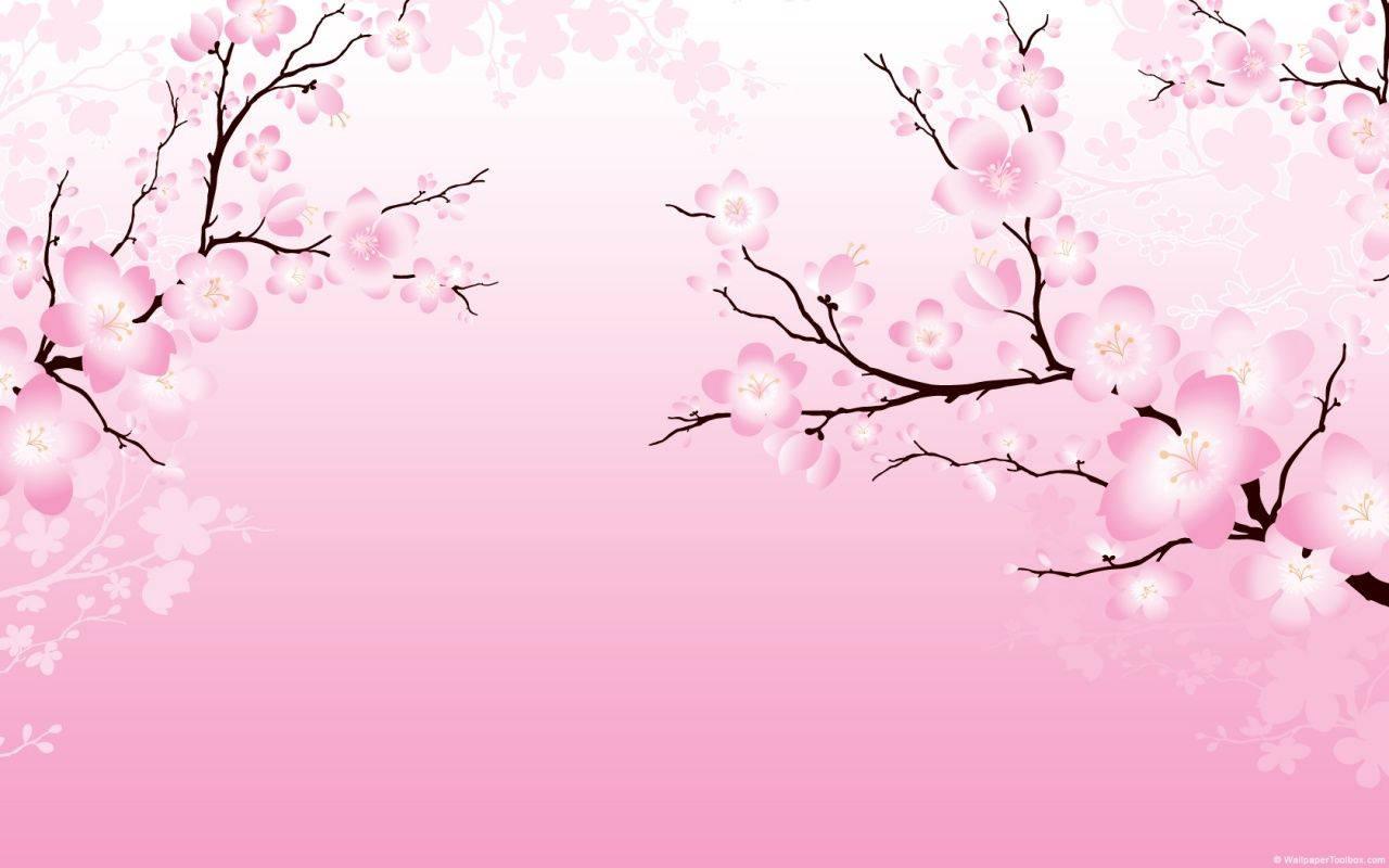 2D Cherry Blossom — 1280x800 wallpaper